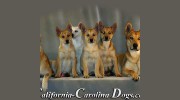 California Carolina Dogs