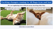 All Dogs Gym & Inn