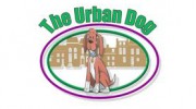 The Urban Dog