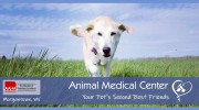 Animal Medical Center