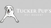 Tucker Pup's Dog Activity Center