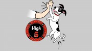 High 5 Pet Care