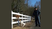 The Charlton Kennels & Farm