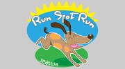 Run Spot Run Seattle