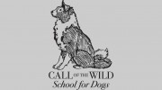 Call Of Wild Dog Training