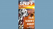 SNIFF Dog Walkers