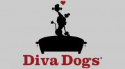 Diva Dogs Salon & SPA