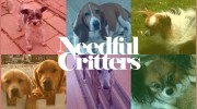 Needful Critters