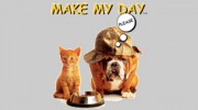 Make My Day Please Pet Service