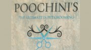 Poochini's Pet Grooming