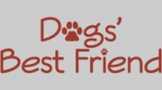 Dogs' Best Friend