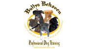 Bullys Behaven