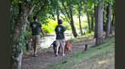 Farm At Natchez Trace