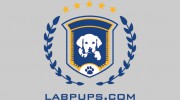 LabPups.com