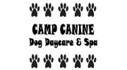 Camp Canine