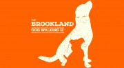 The Brookland Dog Walking