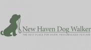 New Haven Dog Walker