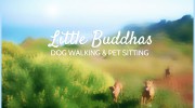 Little Buddhas Dog Walking & Pet Sitting