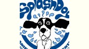 Splashdog Spa