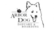 Arbor Dog Day Care