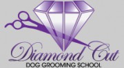 Diamond Cut Dog Grooming School