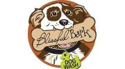 Blissful Bark Dog Wash