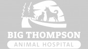 Big Thompson Animal Hospital